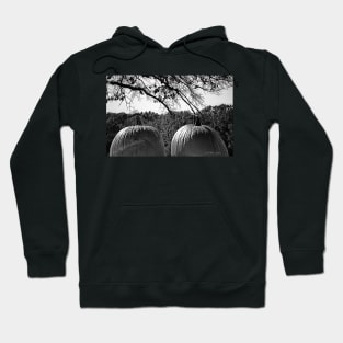 Nice Pair - Black and White Hoodie